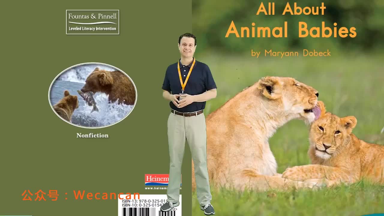 美国艾伦老师海尼曼G1绘本精讲88 All About Animal Babies