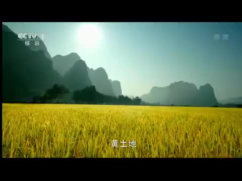 62.史丹利复合肥