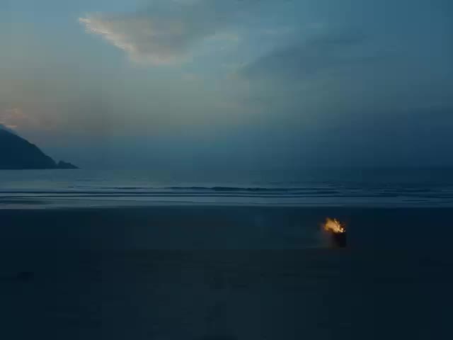 14.建党95周年 我是谁