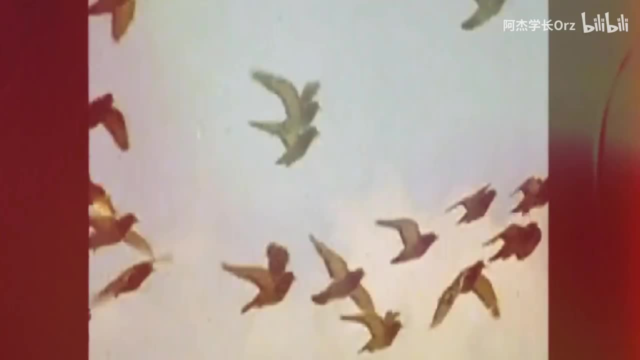 20秒90年代风景画面