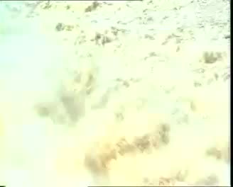 视频：河南曲剧《柜中缘续集》全剧。