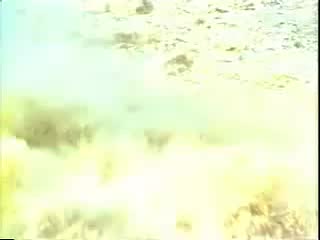 豫剧《呼家将》01 谢庆军、索文化、毛松奇等-演出