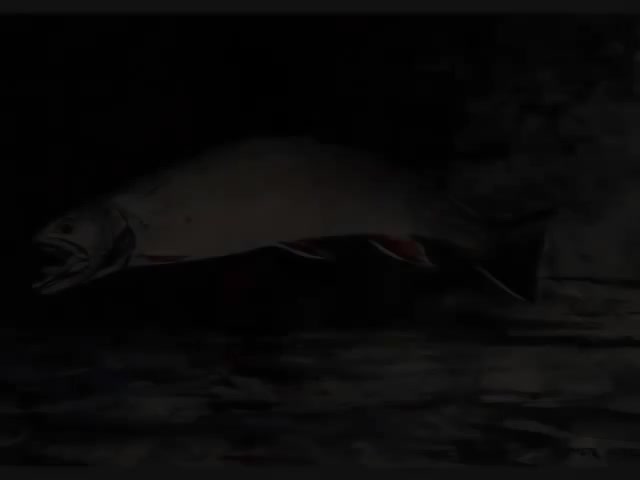 Dietrich Fischer-Dieskau