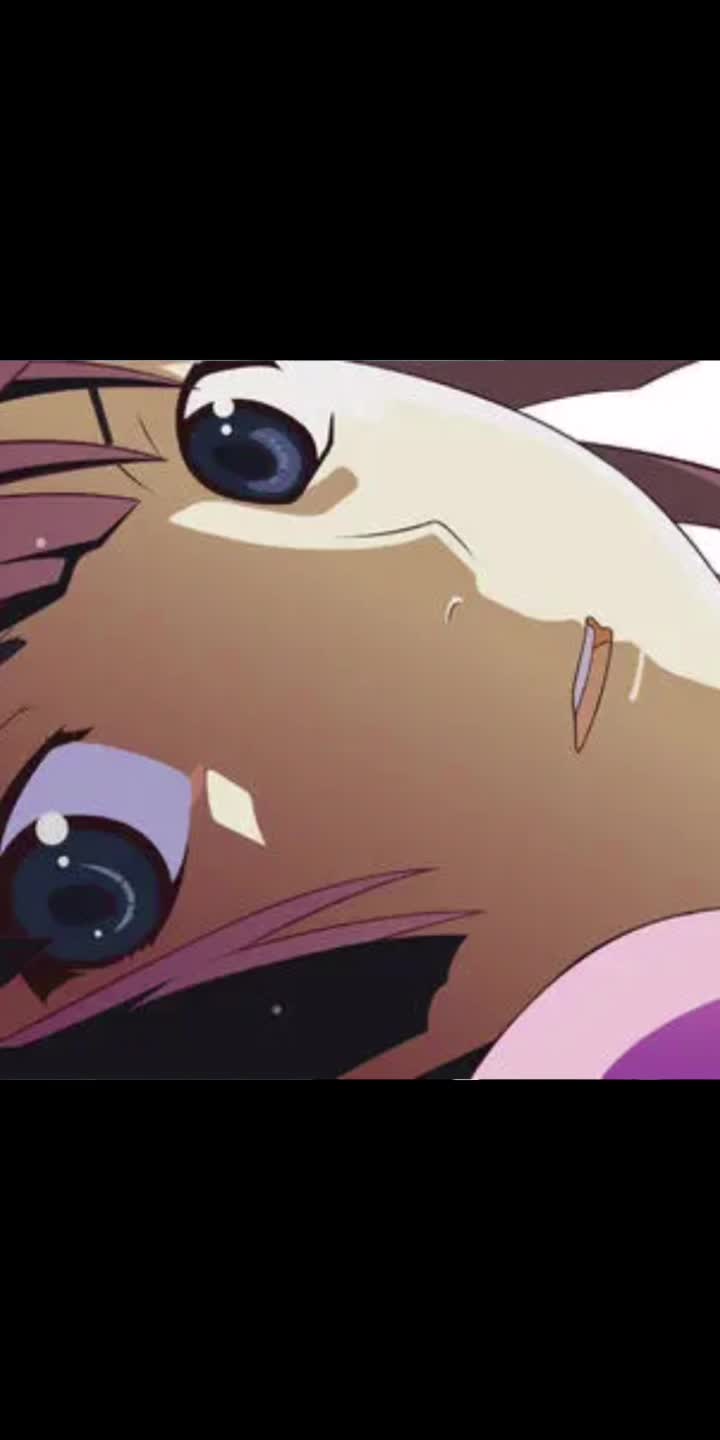 化物语《君の知らない物語》