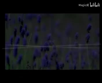 受伤了_任贤齐_国语