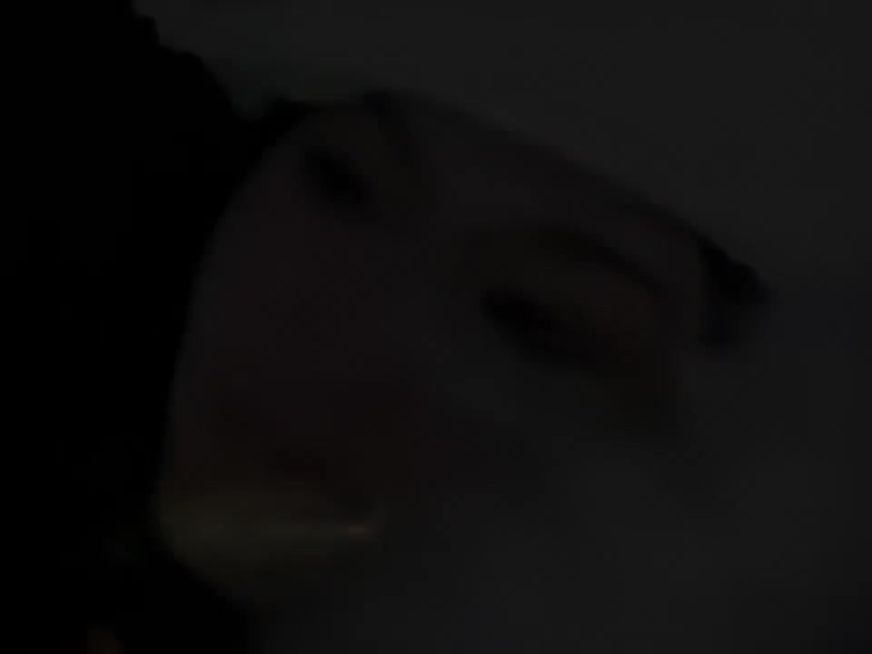 05 Sevgi Sehri 爱的甜蜜（乌兹别克语）