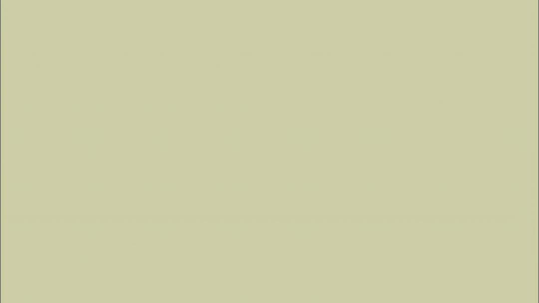 像乌鸦一样思考：第04集 [高清版]