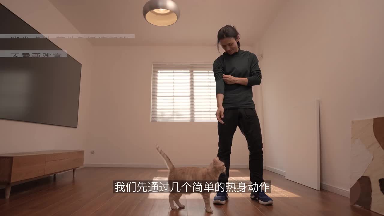 动物流 纯净跟练版