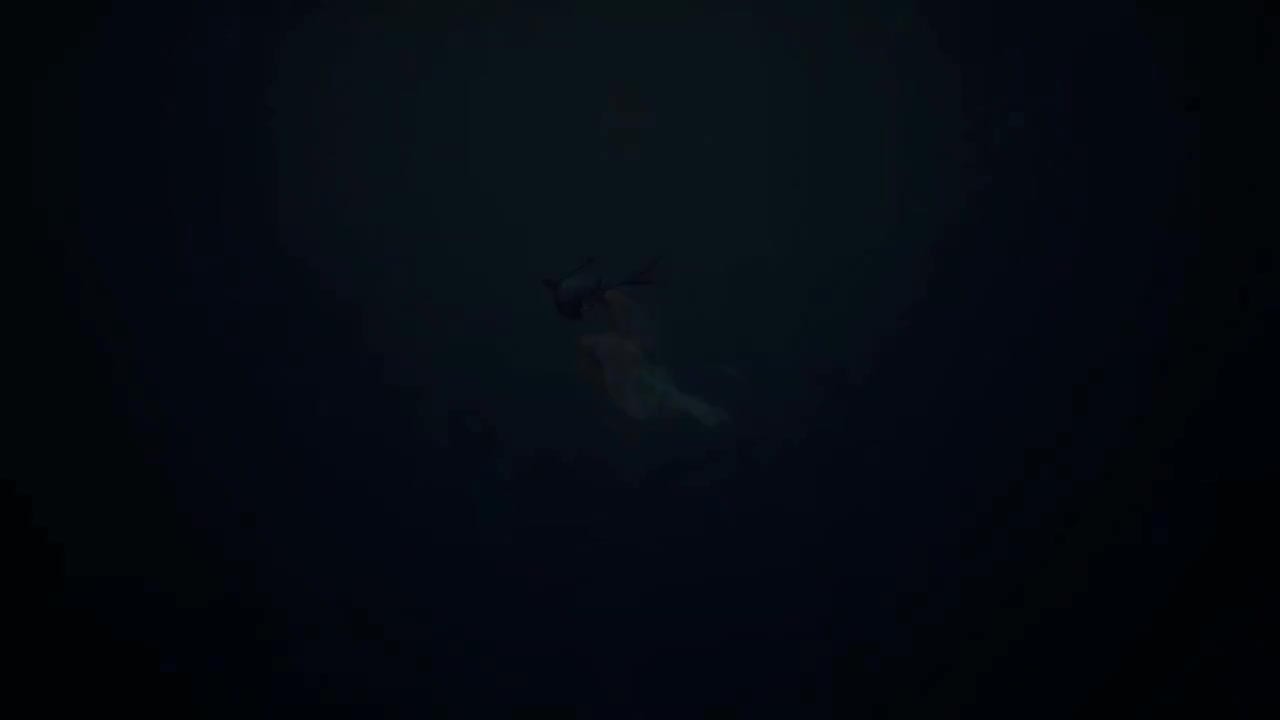 动点p/追光使者