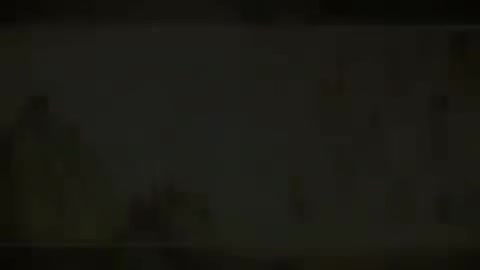 第114讲 病机（六）