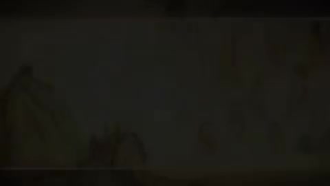 第116讲 病机（八）