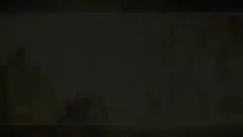 第94讲 病因（四）