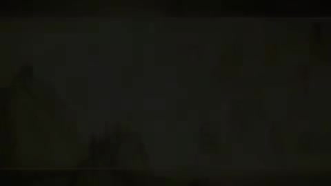 第76讲 经络（二）