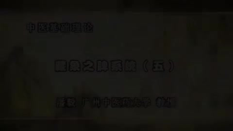 第39讲 藏象之脾系统（五）