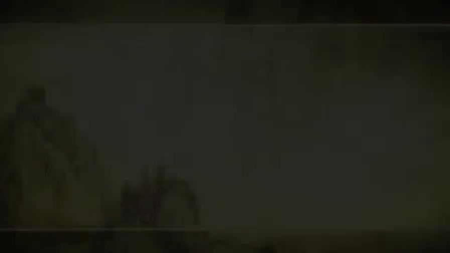 第93讲 病因（三）