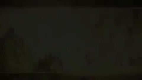 第96讲 病因（六）（1）