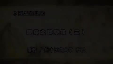 第37讲 藏象之脾系统（三）