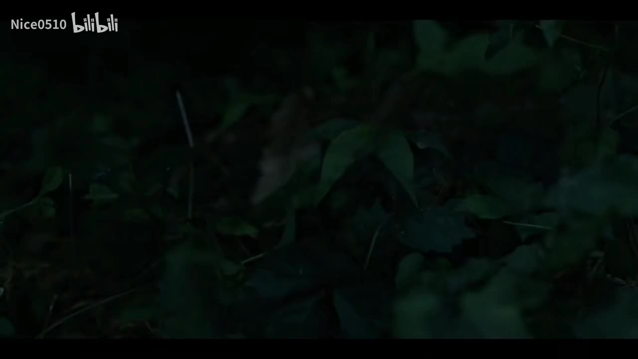 P2-1殿下初登场&殿下德任落水嬉戏