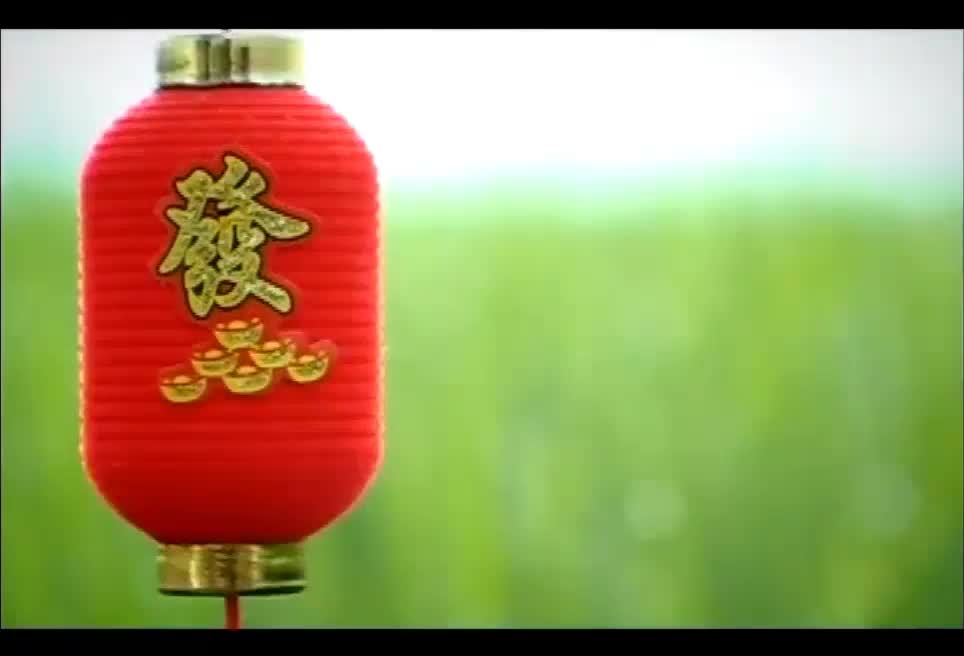 离乡的人儿回家过年