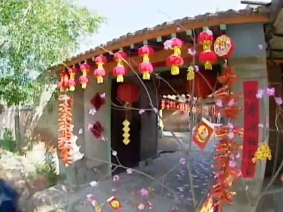 恭喜恭喜+小拜年+大家过个开心年+花开富贵