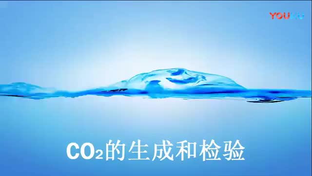 3.CO2的生成与检验