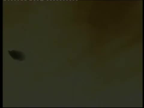 《梅兰芳》 第10集 绝唱