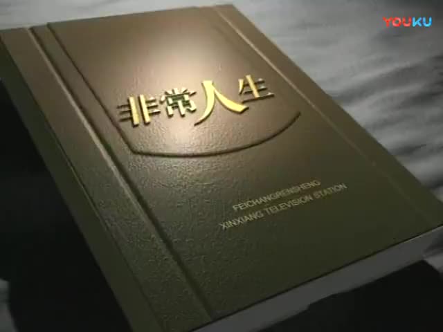2006年2月《胖东来印象》——《非常人生》电视节目