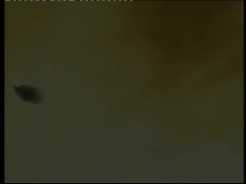 《梅兰芳》 第8集 访日