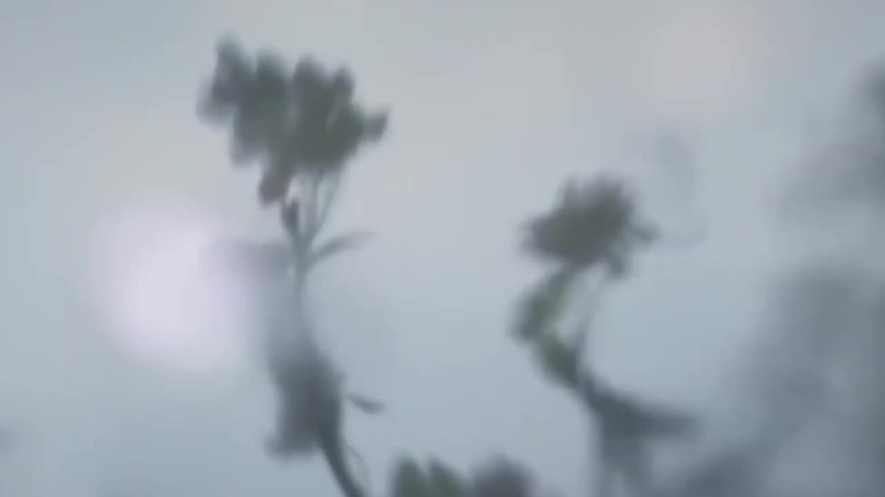 江城子：十年生死两茫茫