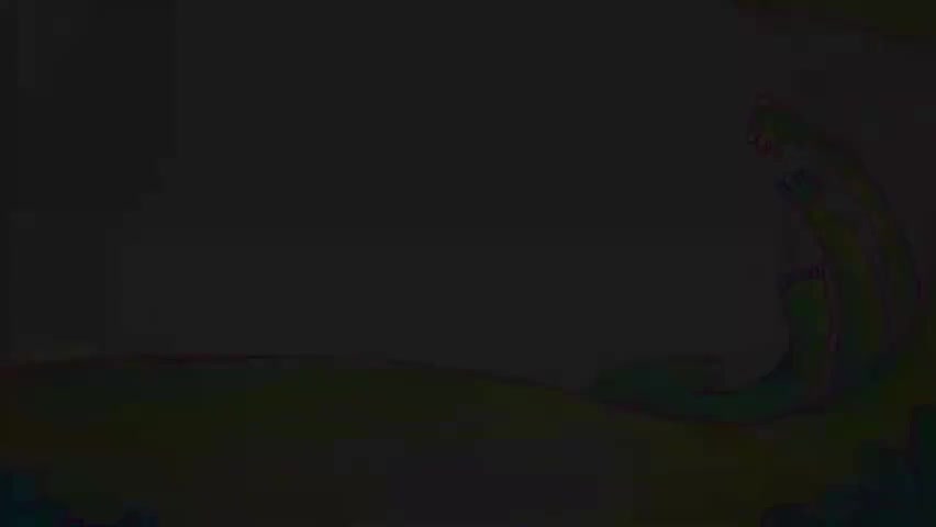 如果我是一只动物-p14-第14集 如果我是狐猴