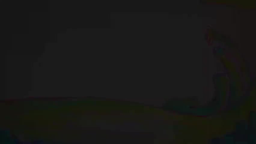 如果我是一只动物-p22-第22集 如果我是棕熊