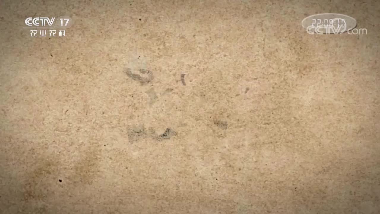 第三集 耕织记忆