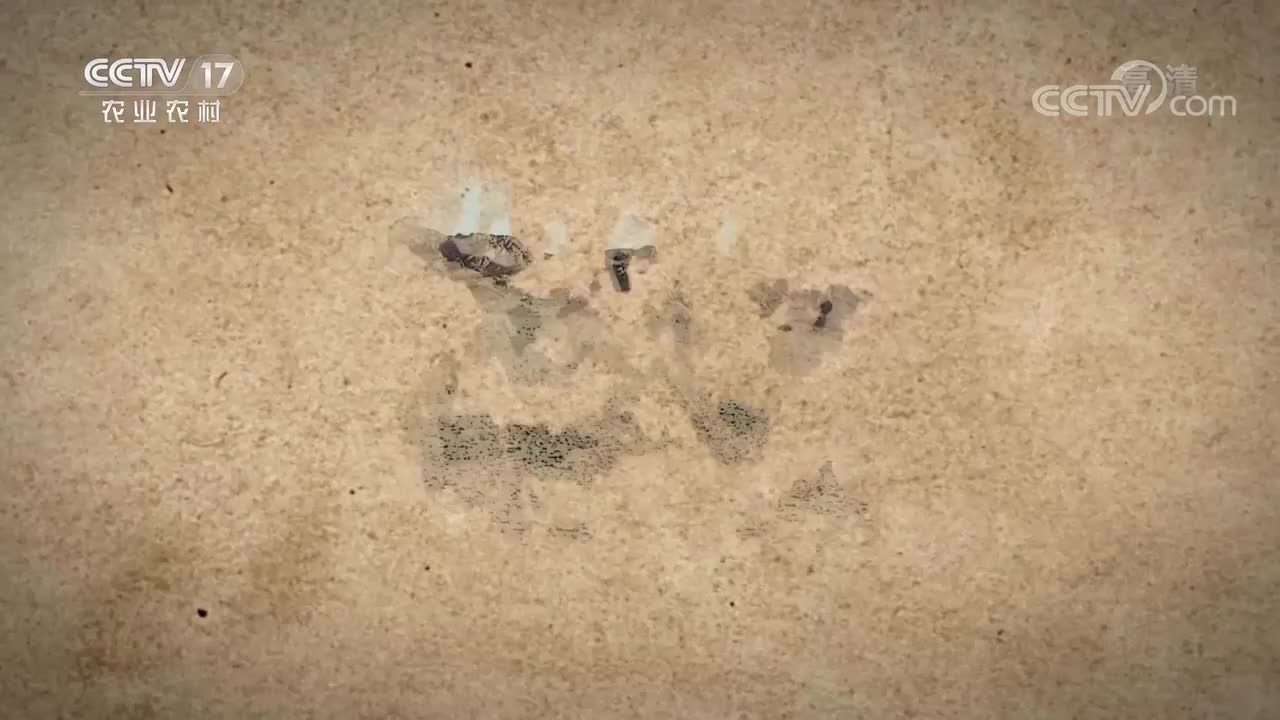 第四集 岩语密码