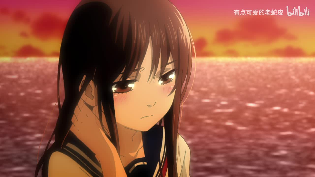 高级_chap11_sample(五十四)夕阳下的海边