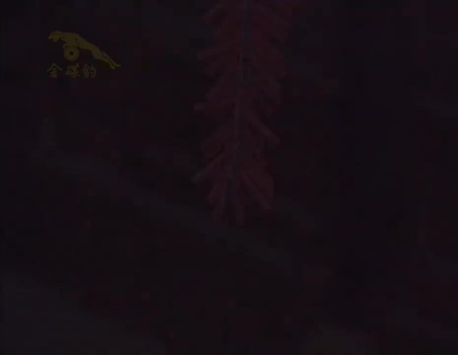 新年喜洋洋（送你一个大年糕版）