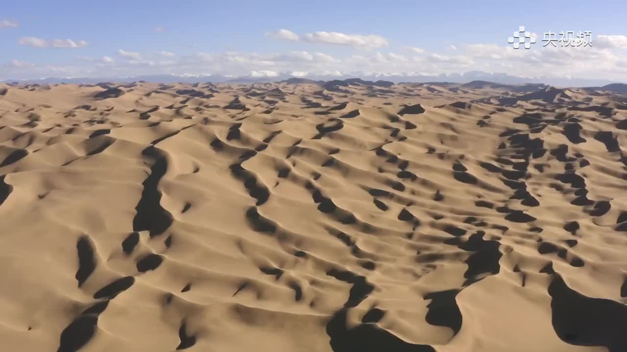 央视频 第5集 生命的高原