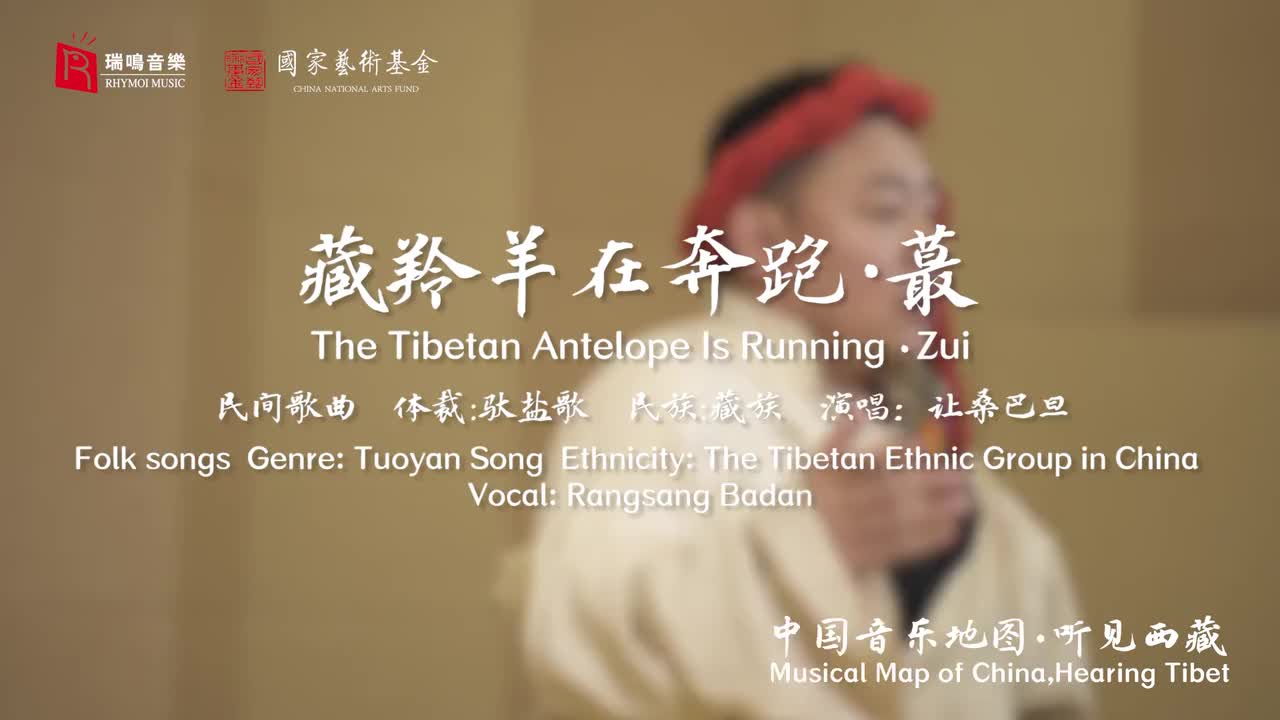 81藏羚羊在奔跑 蕞