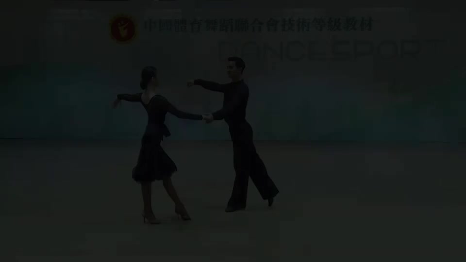 伦巴 双人 银牌组合