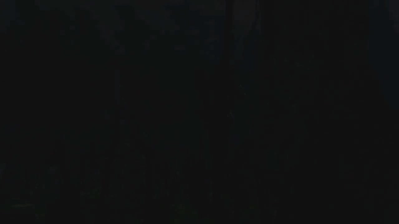 12.灰色大狼希夫