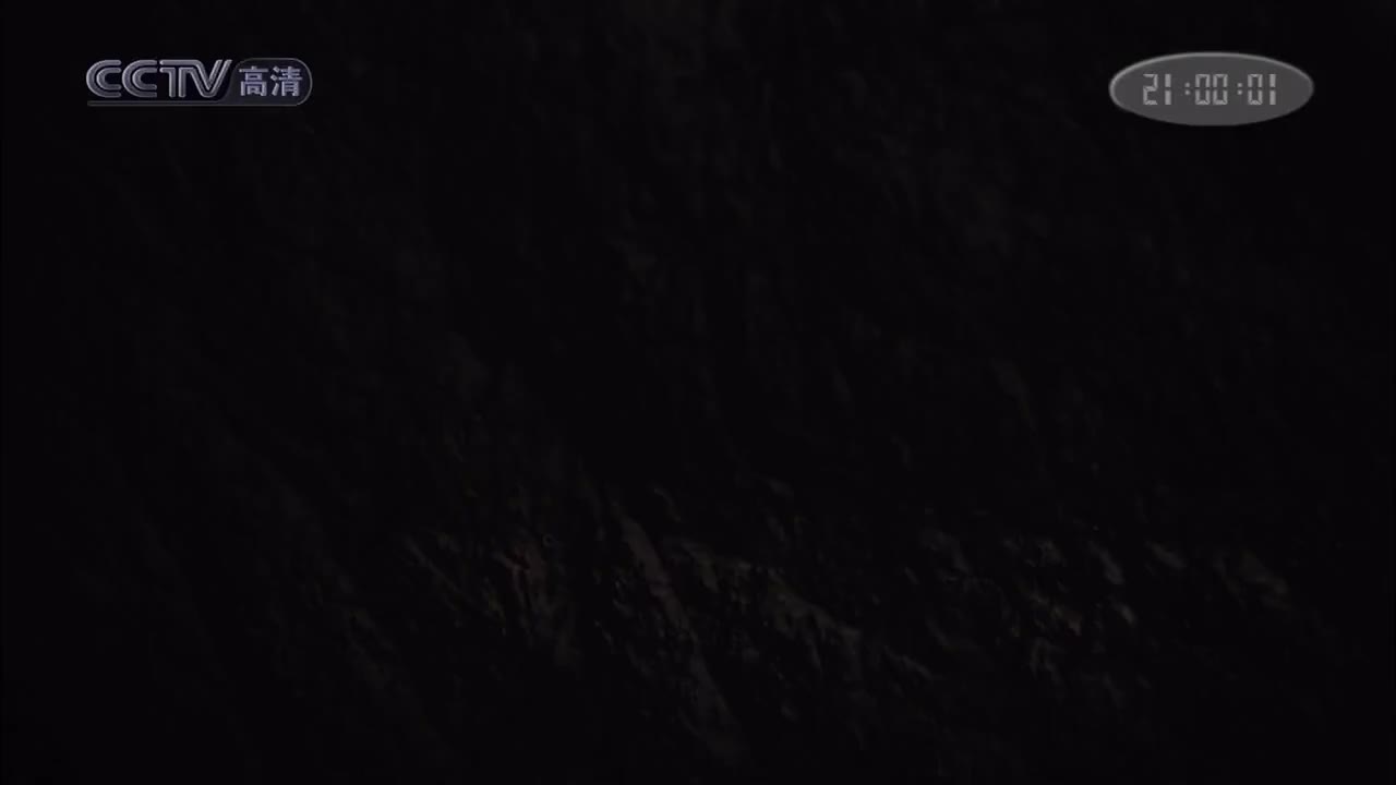 华尔街07阳光交易