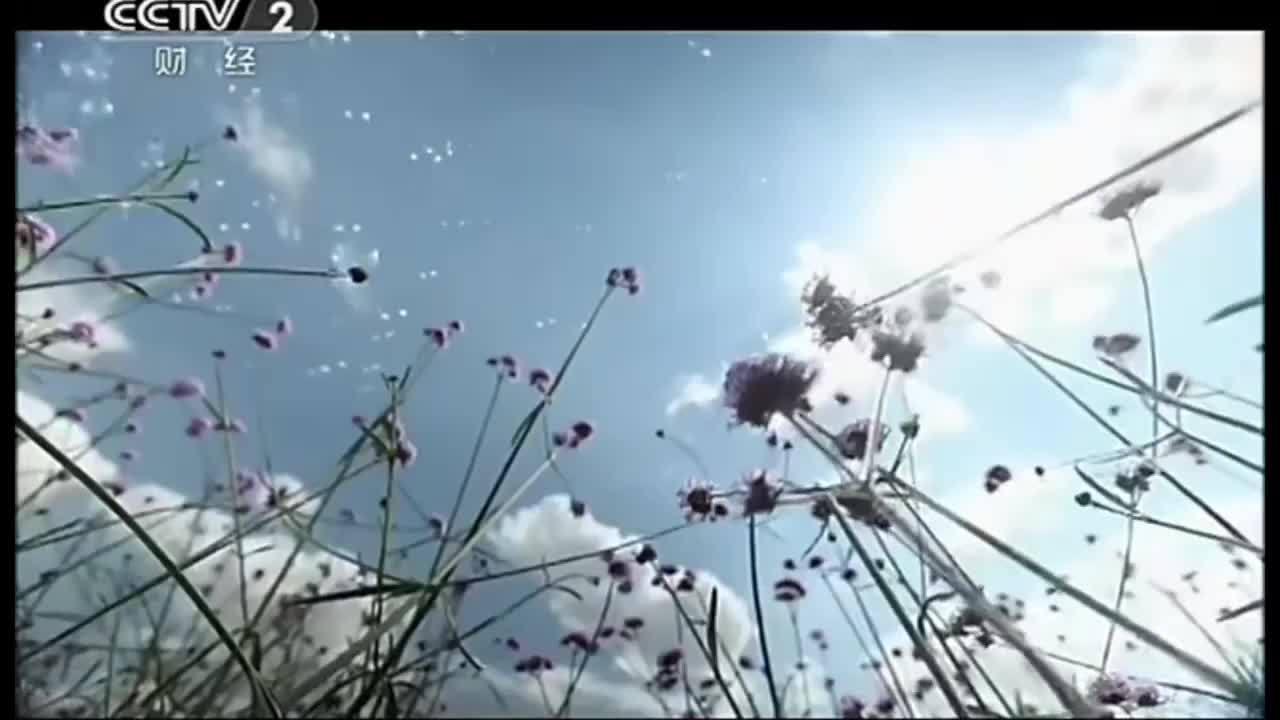 货币01有价星球