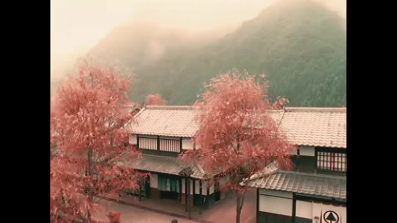 【范特西】忍者Ver.2