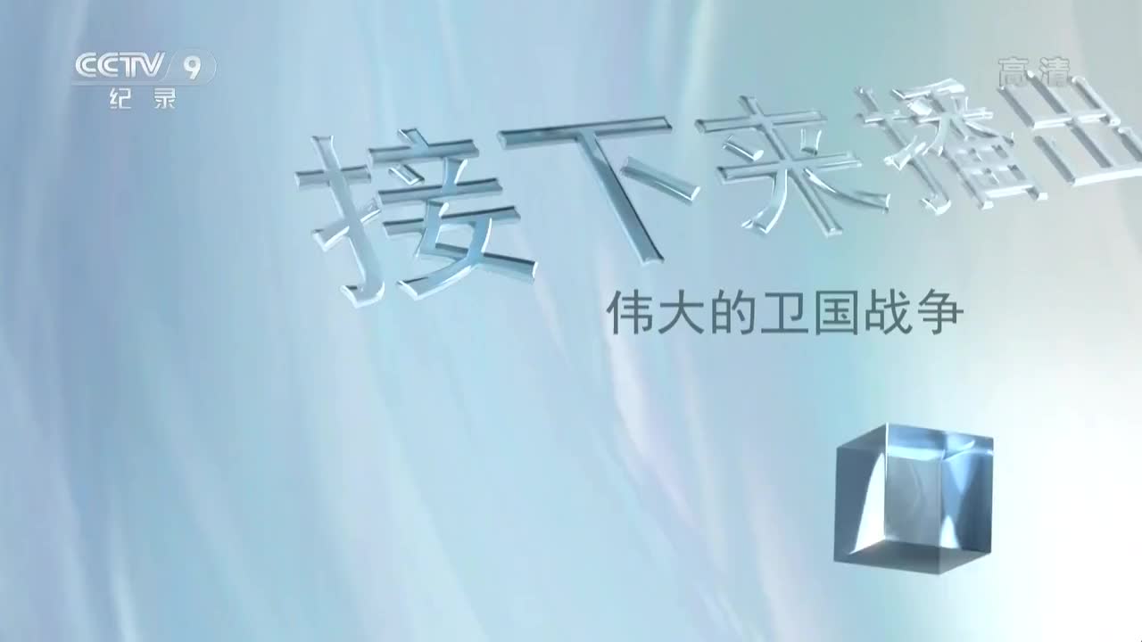 伟大的卫国战争13大海战