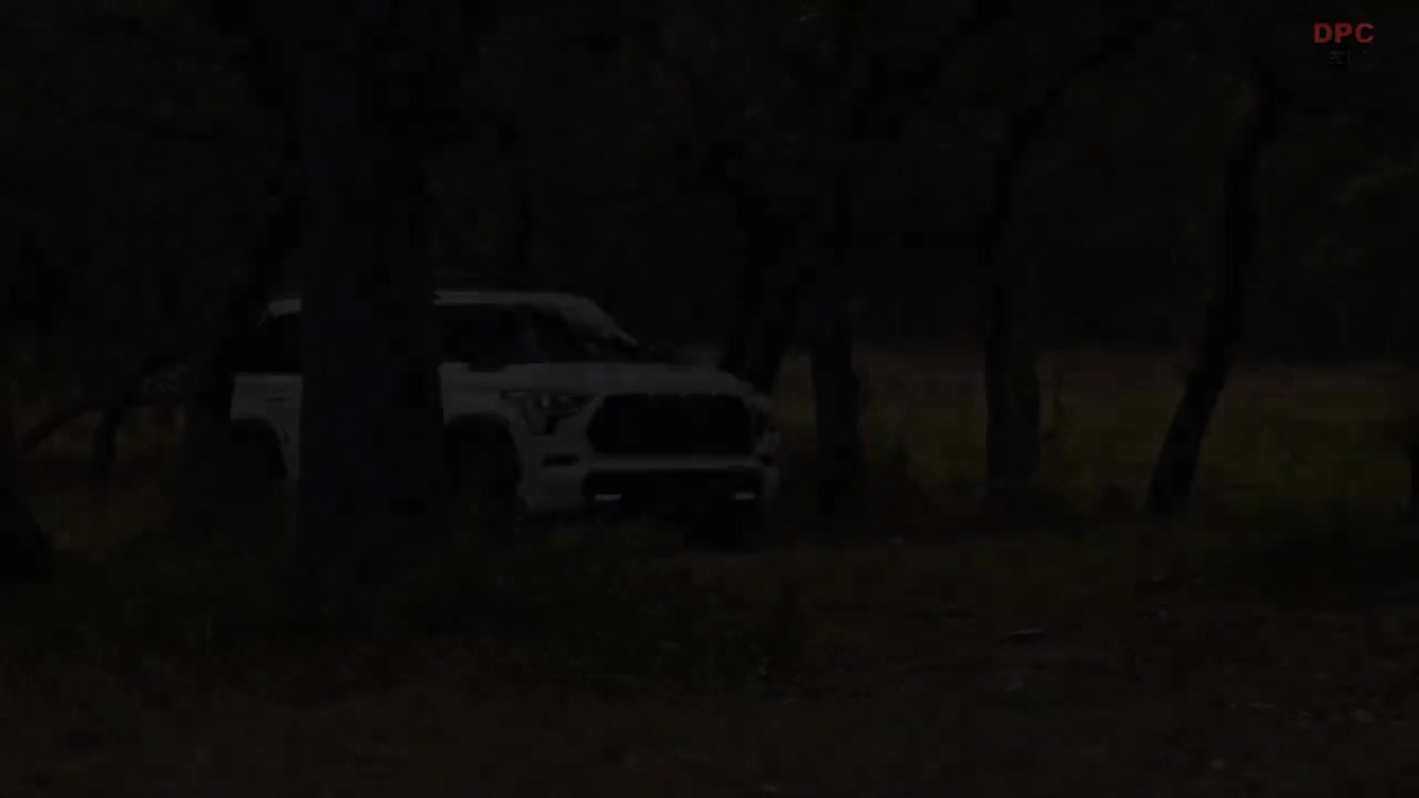 红衫TRD Pro 小树林展示