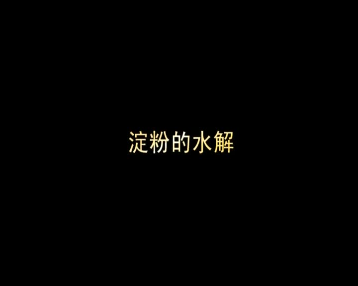 87.淀粉的水解