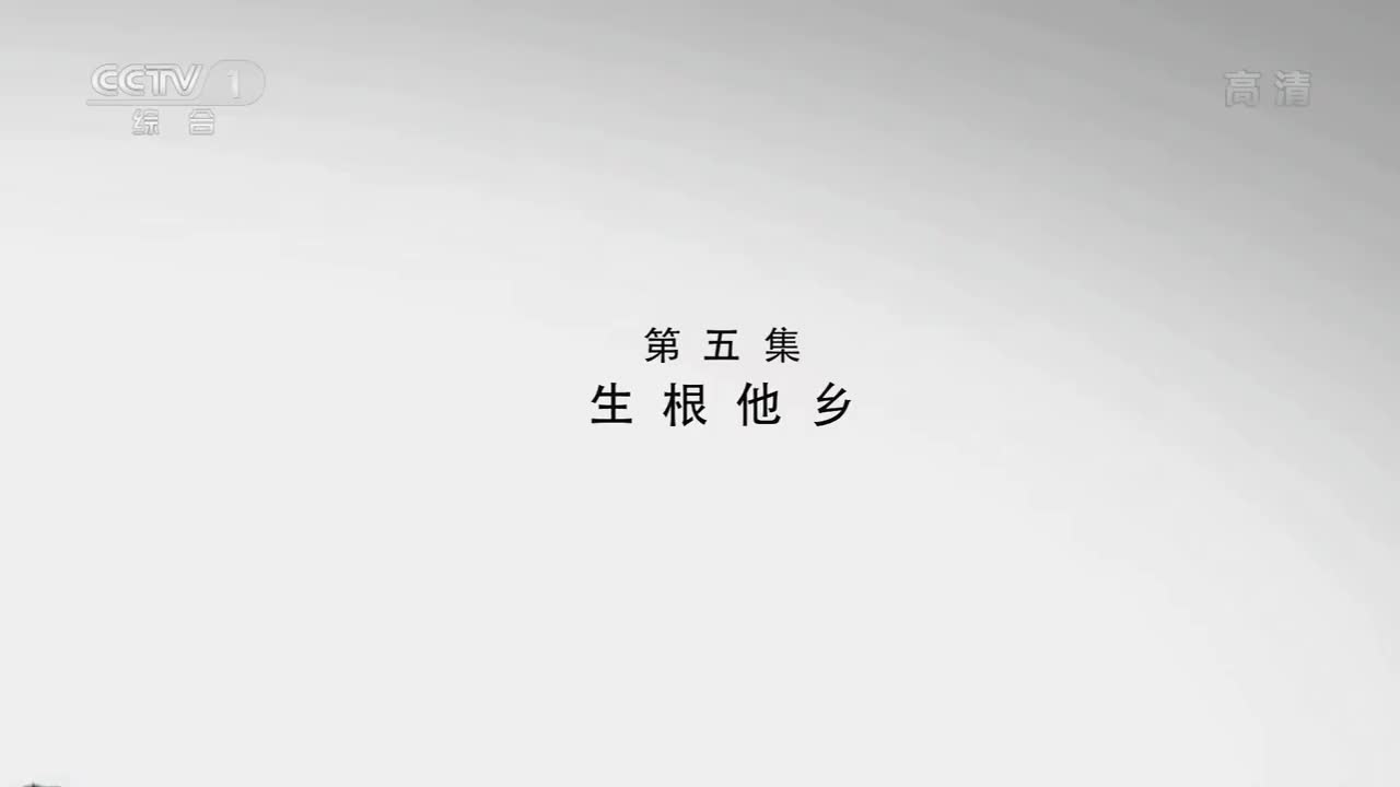 水脉-南水北调 05 生根他乡