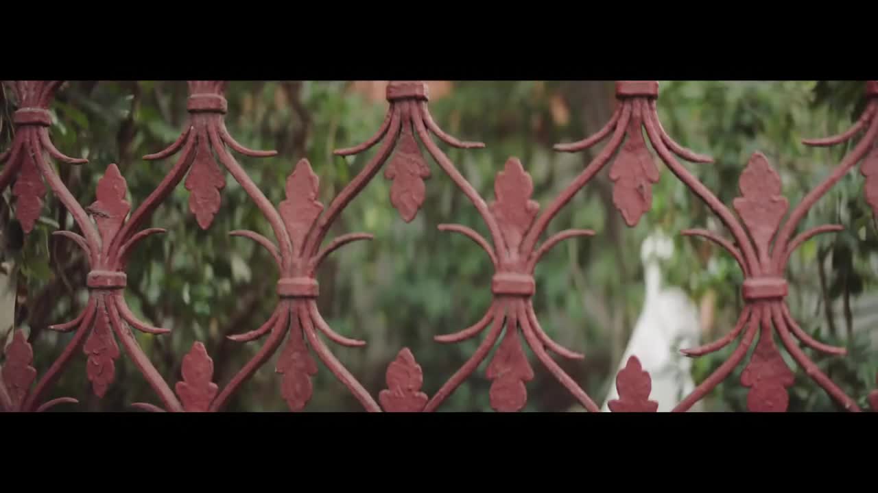 蒂尼的新生活 - Siempre Brillarás