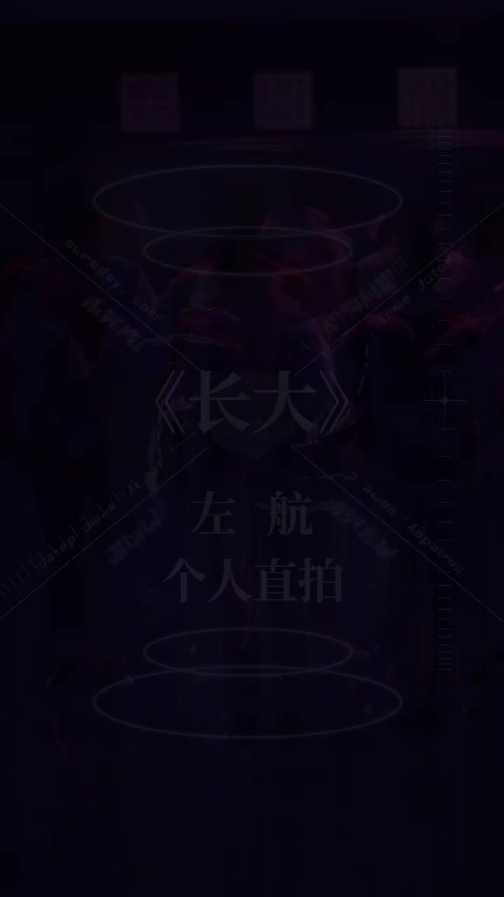 左航-个人直拍