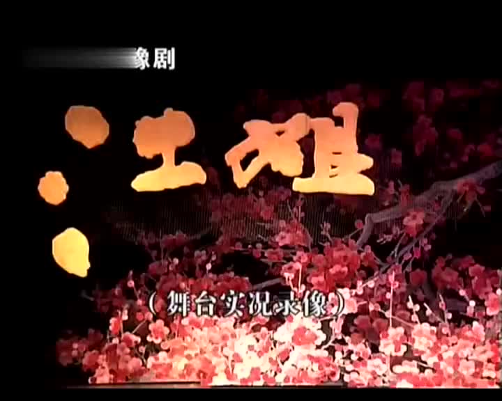 《江姐》李金枝 丁建英