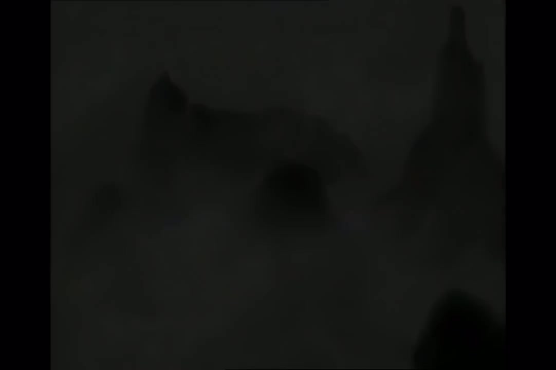 第14集《夜到渔家》